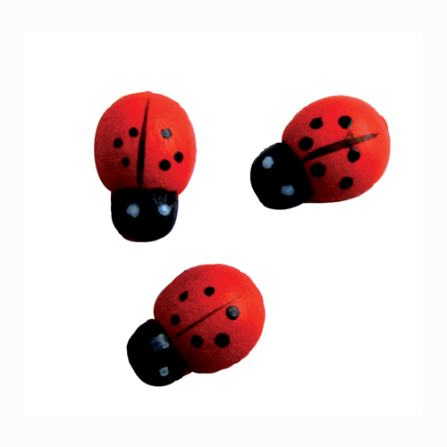 Coccinelles 3D en bois d�cor�