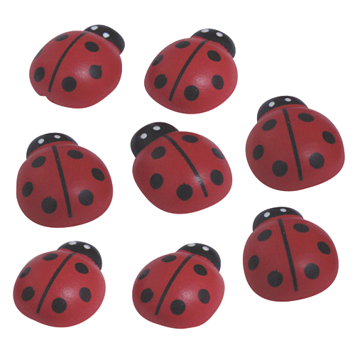 Coccinelles