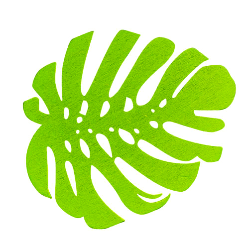 Feuille exotique