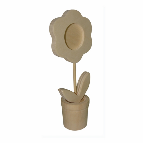 Fleur en pot